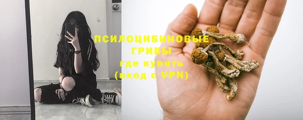 прущие крисы Алексин