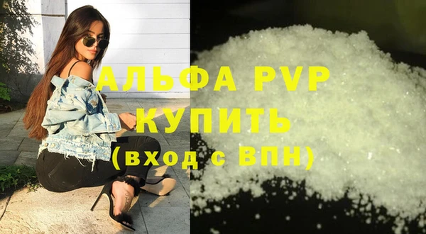 амф Гусь-Хрустальный
