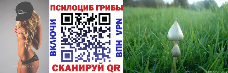 Галлюциногенные грибы MAGIC MUSHROOMS  даркнет какой сайт  Межгорье  хочу наркоту 