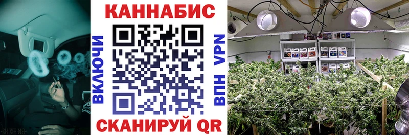 Бошки марихуана OG Kush Межгорье